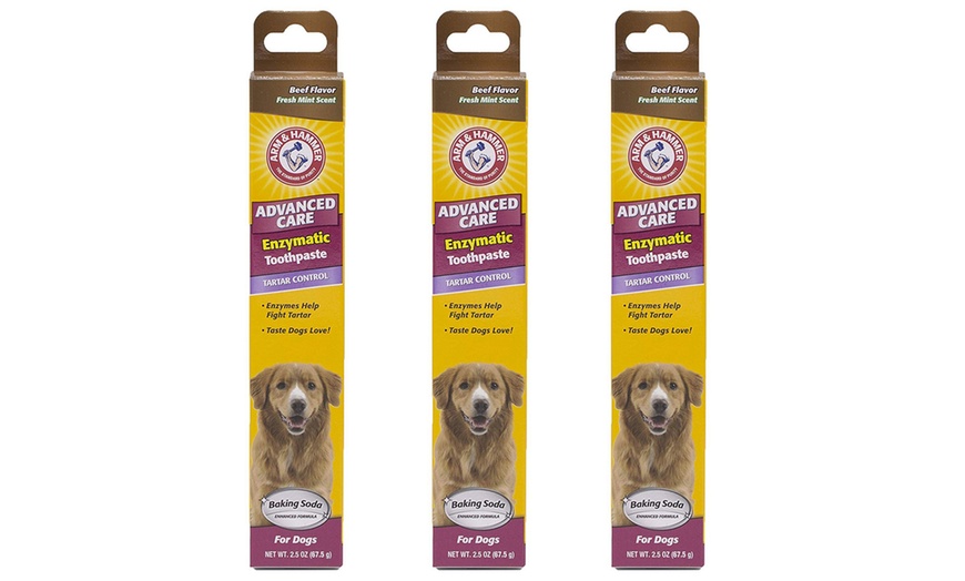 arm and hammer dog toothpaste vanilla ginger