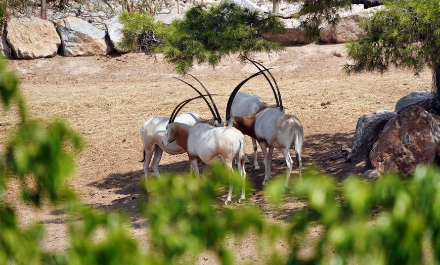 Image 8: ¡Diversión familiar! Entrada a Terra Natura Murcia para 1 a 4 personas