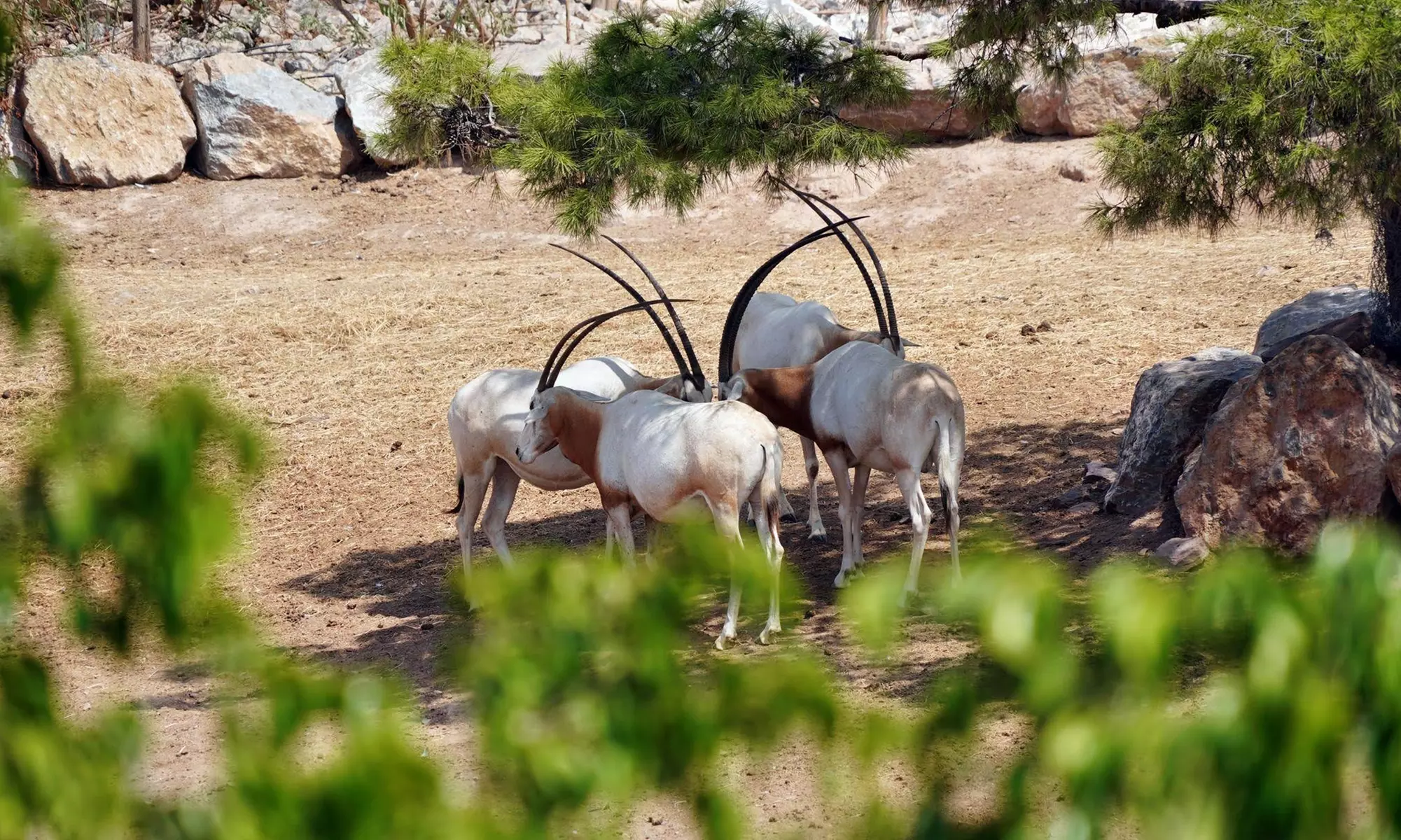 Entrada de un día para niño o adulto en Terra Natura Murcia