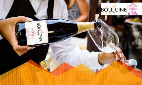 Bollicine in Villa: degustazione vini, spumanti e Champagne alla Villa Farsetti a Venezia (sconto fino a 39%)