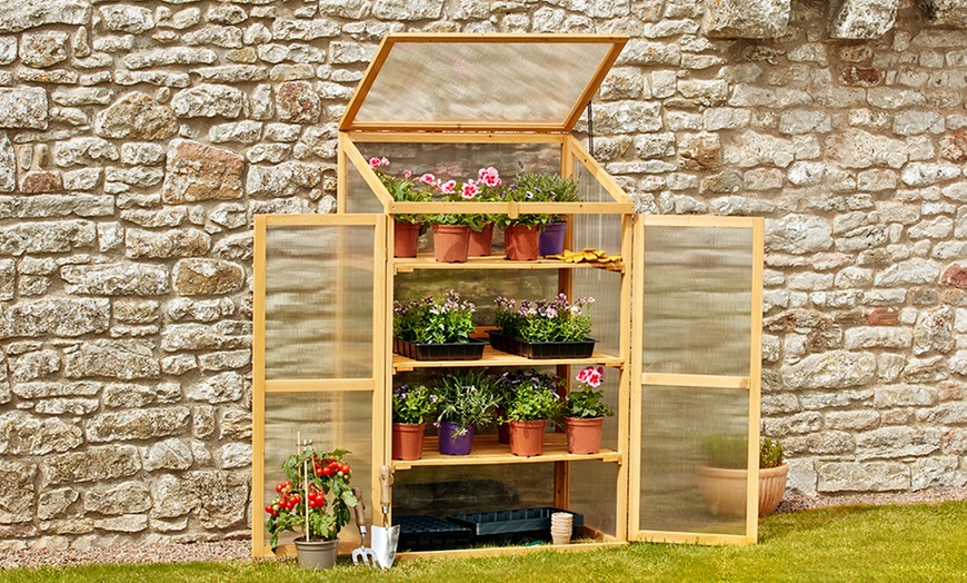 Image 1: Three-Tier Wooden Cold Frame