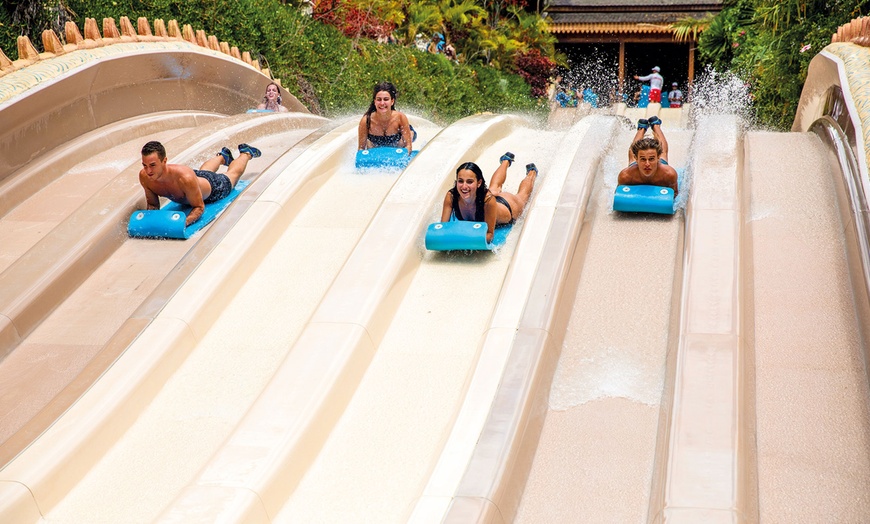 Image 4: Entrada al parque Siam Park y a Loro Parque