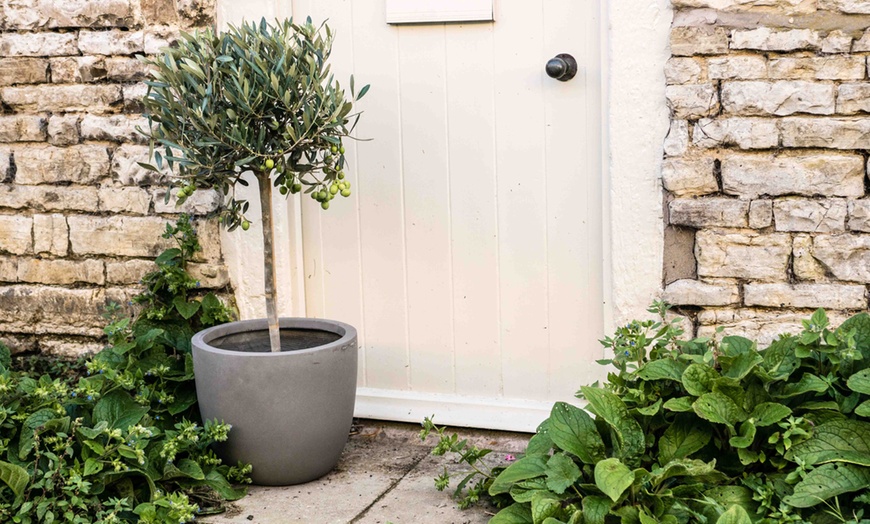 Image 7: Two-Pack Fibre Clay Planters