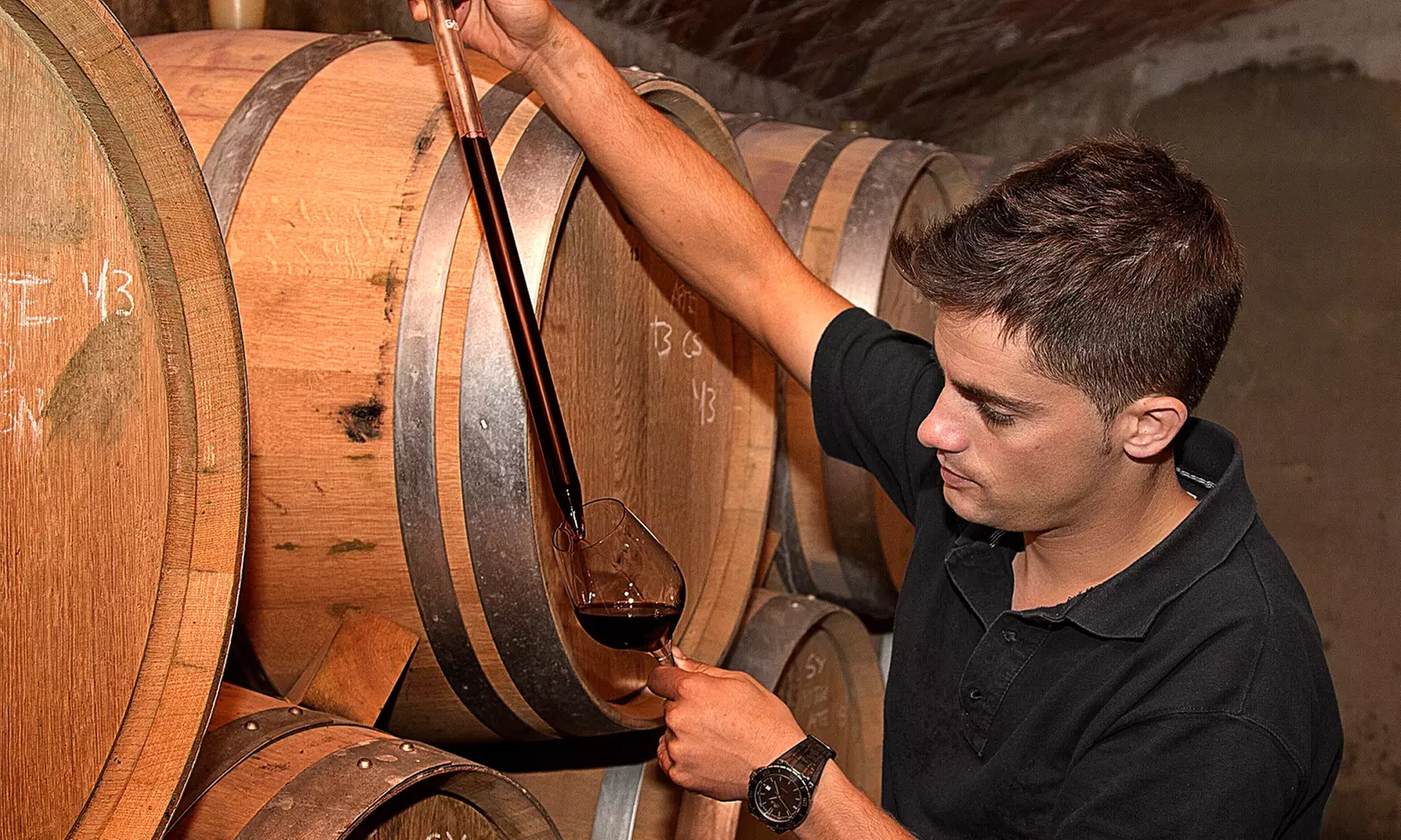 Until50%discount in Restaurant specialties - Wine tasting