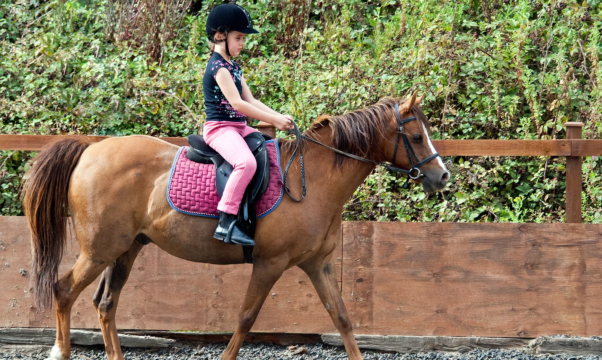 Battesimo della sella su pony alla Scuderia Mosquitos (sconto fino a 60%) - Primary Image