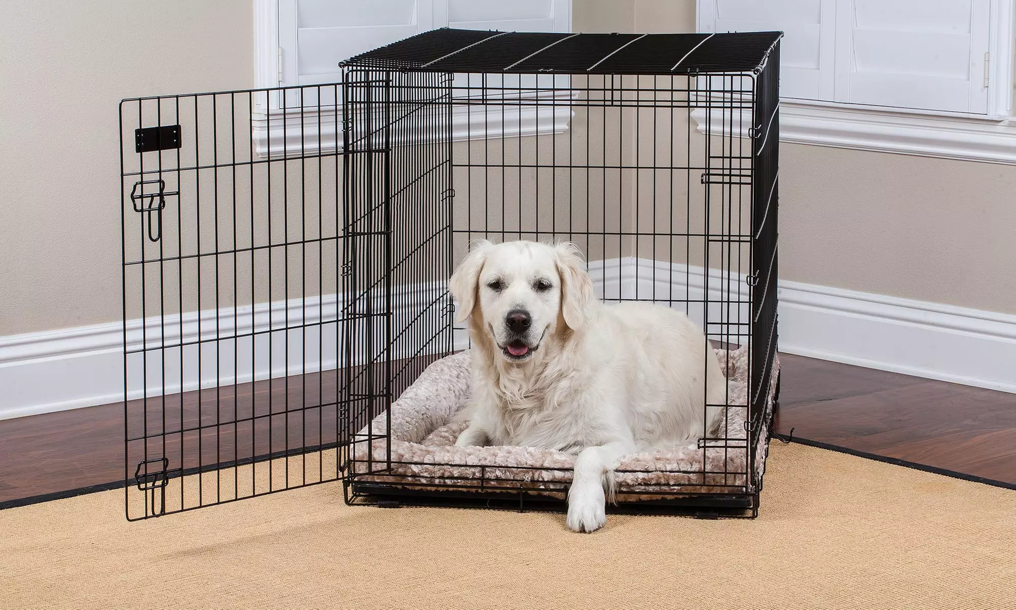 Precision Pets Collapsible Dog Crates with Free Divider Panel  - Primary Image