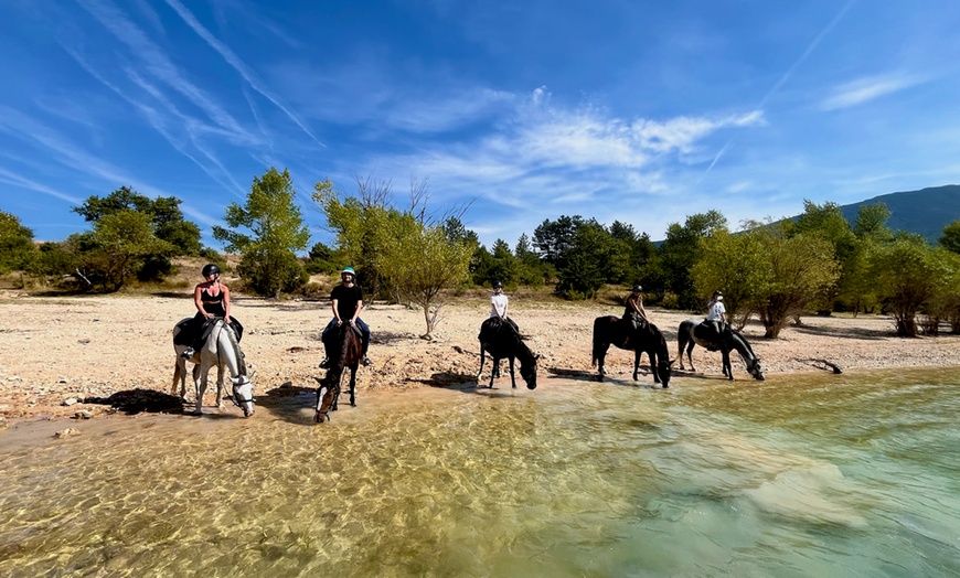 Image 1: Balade à cheval demi-journée au bord du Lac de Sainte-Croix
