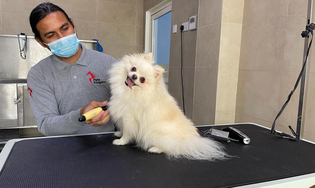 Extensive Pet Grooming Service