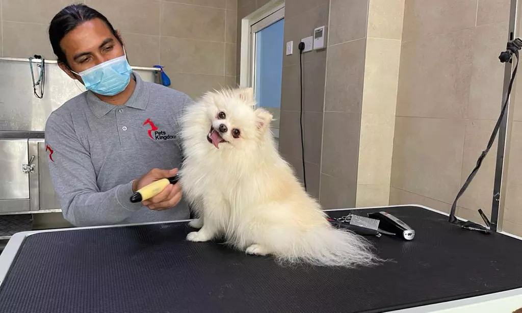 Extensive Pet Grooming Service