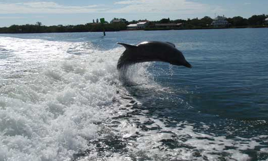 Image 3: Sip, Sail, & Spot Dolphins: Morning, Sunset, & Sandbar Cruise for Up to 6 People w/ Siesta Dolphin Tours (Up to 50% Off)