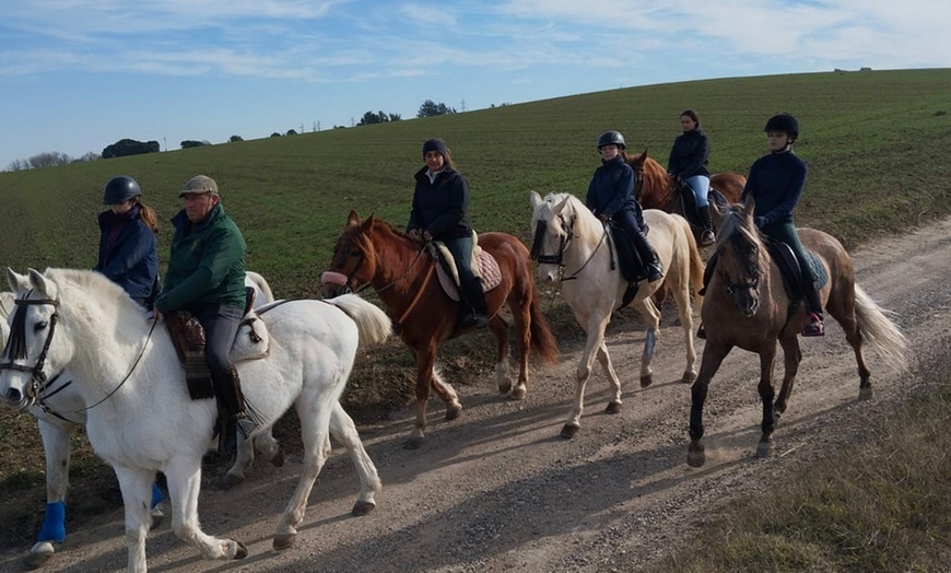 Image 8: Paseo a caballo de 1 hora por el Parque del Guadarrama con refresco