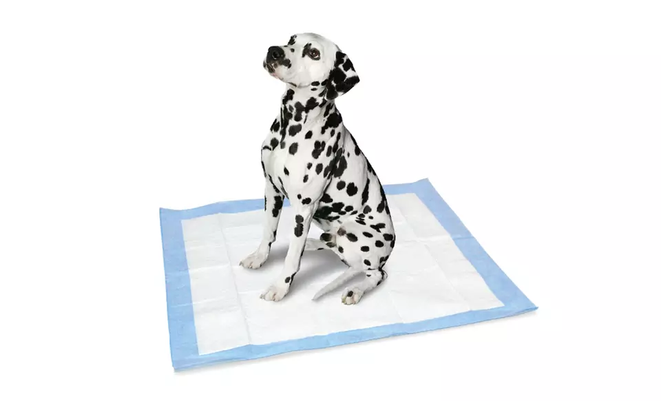 AKC Extra-Large Puppy Pads (50-Pack) - Primary Image