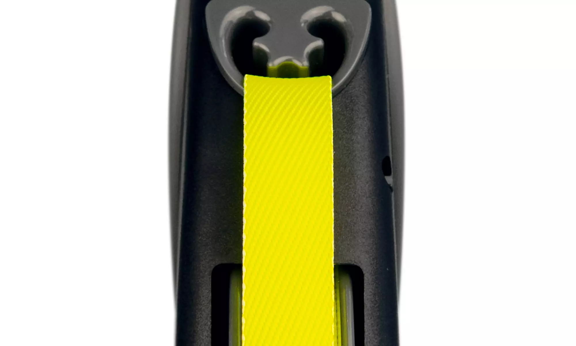 Guinzaglio per cani Flexi