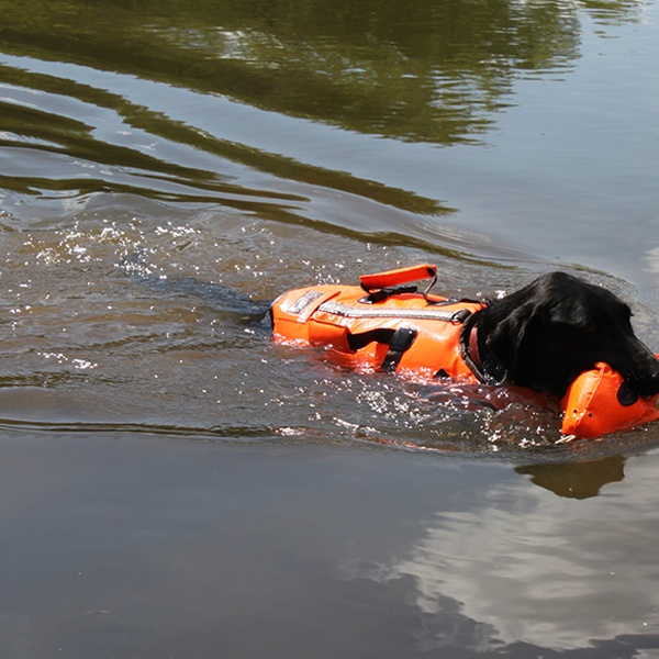 aussie naturals dog life jacket