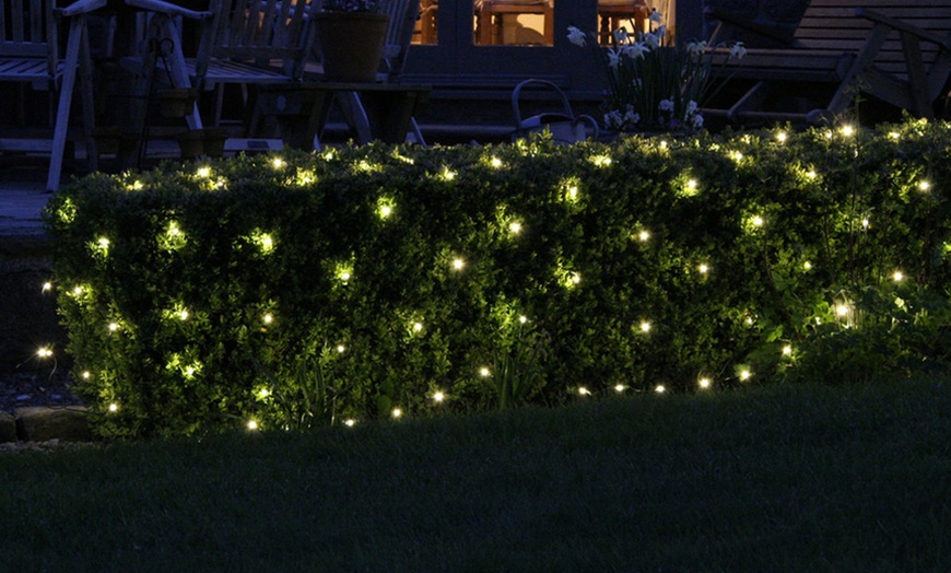 LED Solar Netting Lights | Groupon Goods