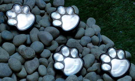Set di 4 o 8 luci solari da giardino a LED a forma di zampa Globrite