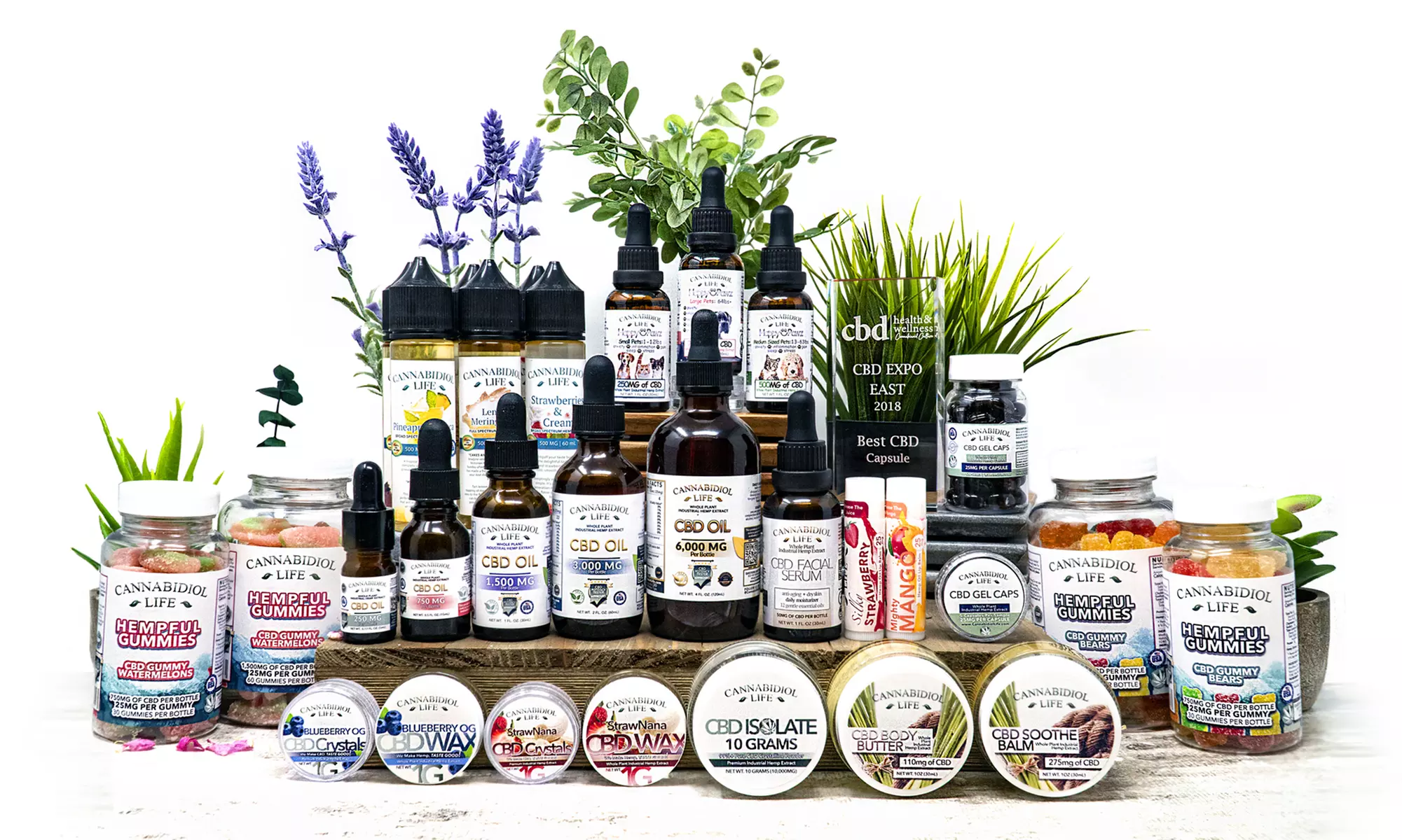 $12 for $20 Toward Products from Cannabidiol Life & Wholly Hemp - Primary Image