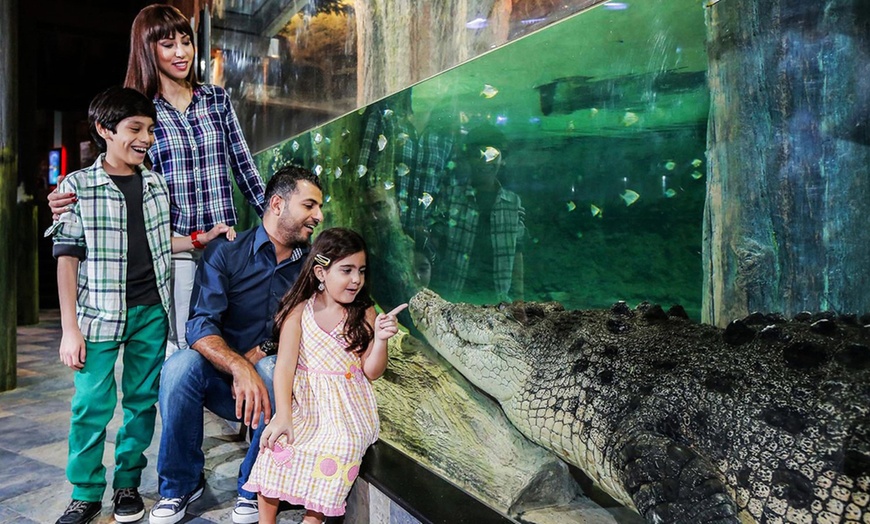 Image 7: Explore World’s Largest Suspended Acrylic Aquarium Inside Dubai Mall
