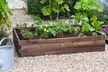 Up to Two Wooden Raised Garden Beds - Image 4