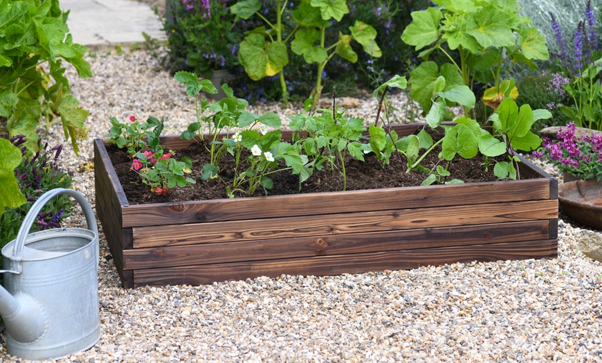 Image 4: Up to Two Wooden Raised Garden Beds