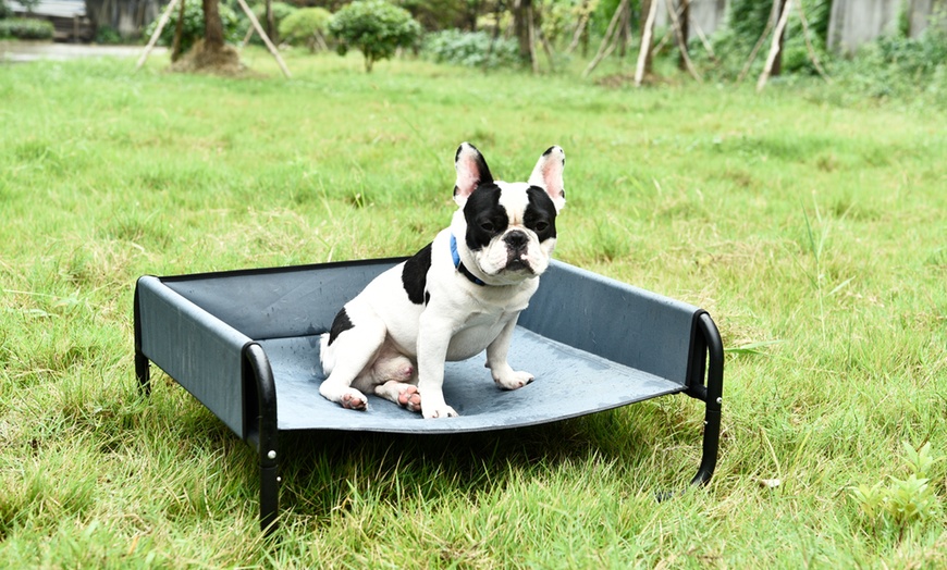 Image 2: Cama elevada para perros y gatos