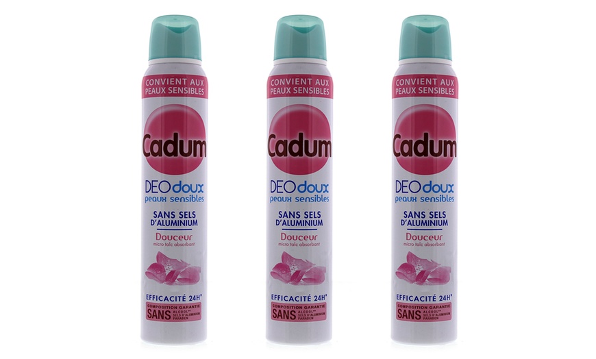 Image 4:  Déodorant spray Cadum