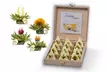 Creano's Tealini Teeblüten Geschenkset ​(bis zu 2,00€/Stk.) - Second Medium