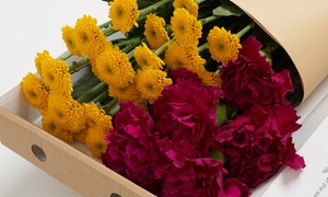 Letter Box Flowers