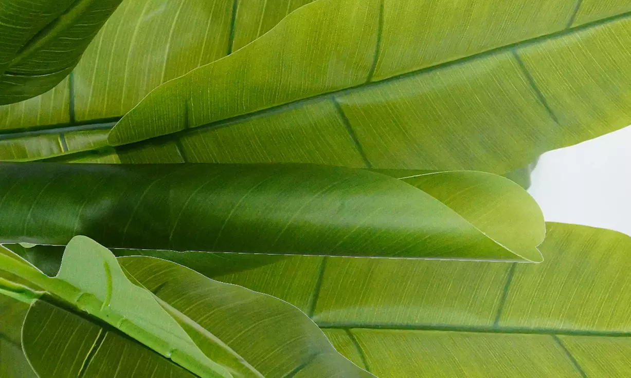 Collezione di piante finte da interno