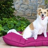 Image 22: 1 à 3 maxi matelas-coussins pour chien et chat