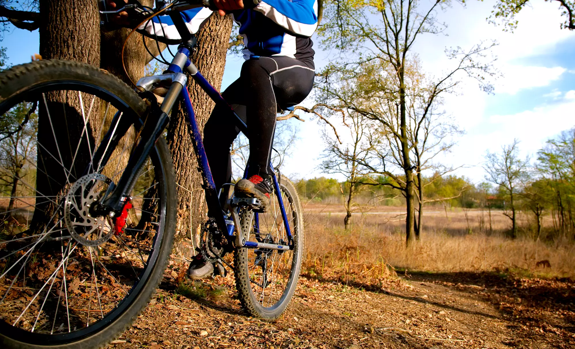 Minor or Major Bicycle Tune-Up or Complete Bicycle Overhaul at Conte's Bike Shop (Up to 74% Off) - Primary Image