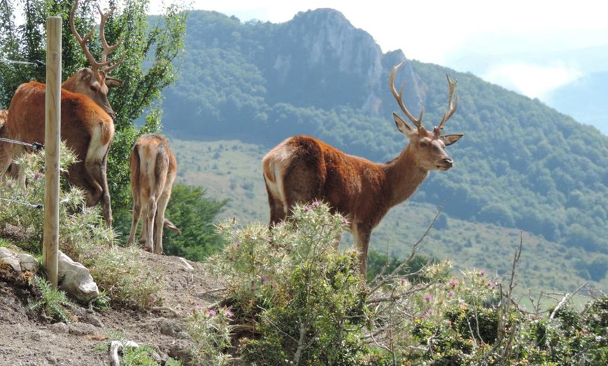 Image 12: Roccaraso: 1 o 2 notti con colazione o mezza pensione per 2 persone