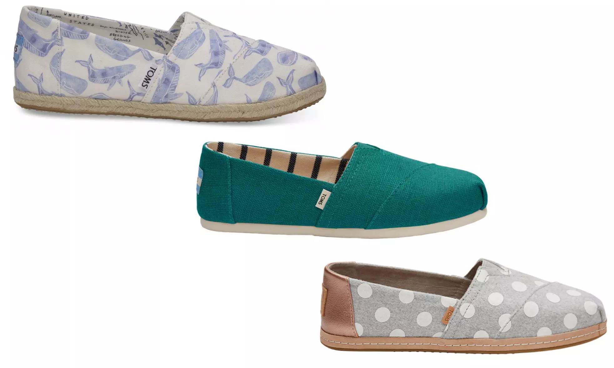 Chaussures Toms - Primary Image