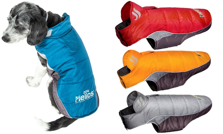 helios dog coats