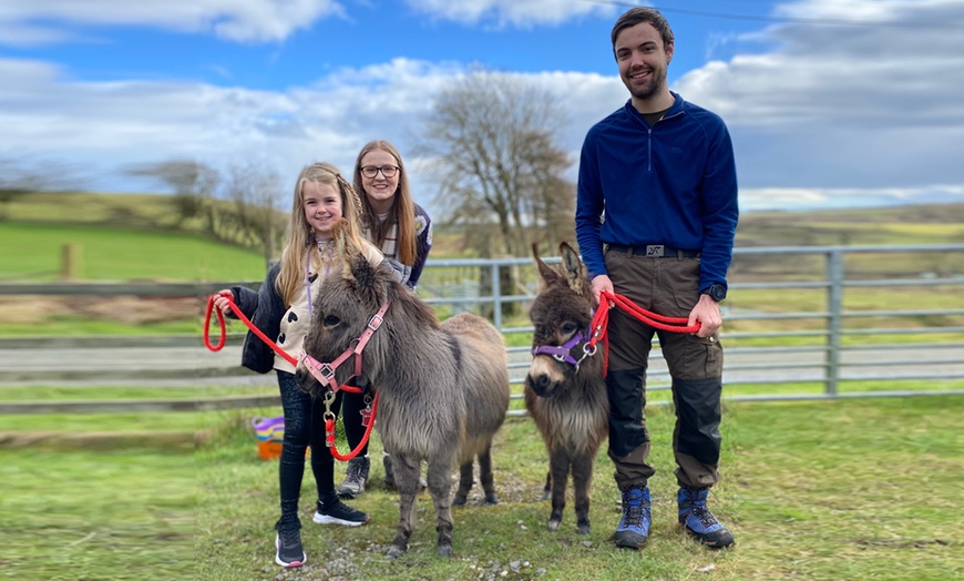 Image 1: Miniature Donkey & Alpaca Experience