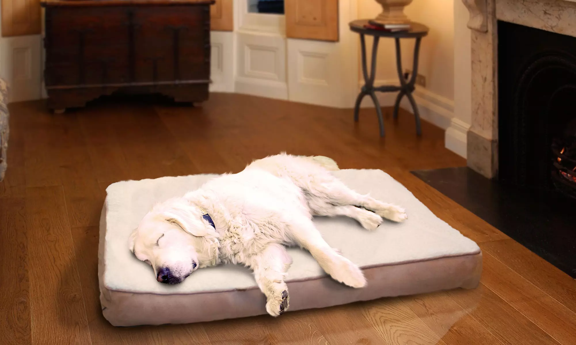 Orthopedic Pet Bed with a Sherpa Top and Suede or Sherpa Print Flannel  - Primary Image