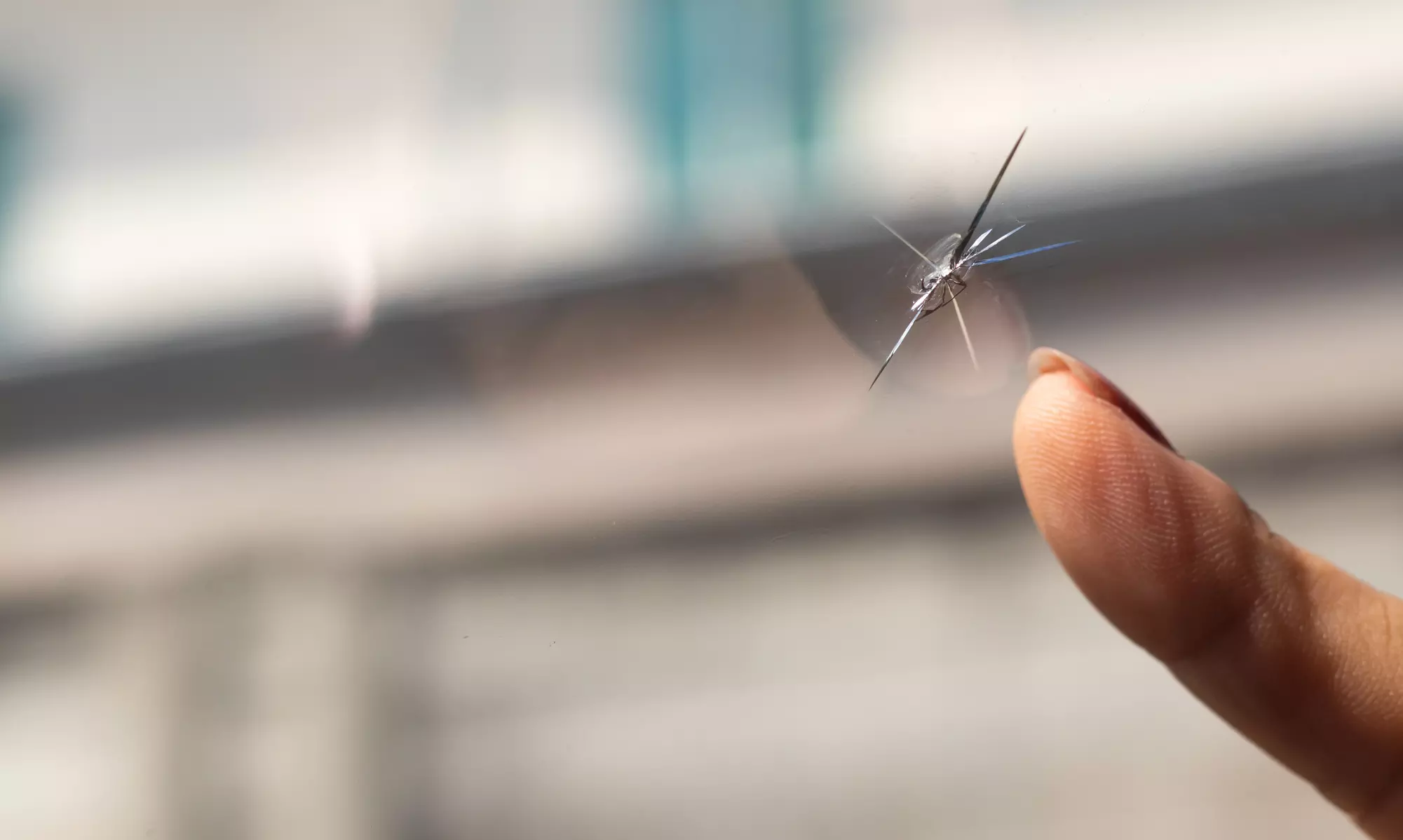 $35 for Window or Windshield Chip Repair for One Vehicle at Quality Auto Glass Window Tint ($70 Value) - Primary Image