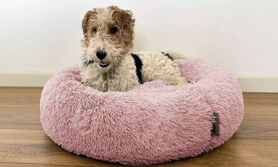 Cuccia extra-soffice per gatti e cani