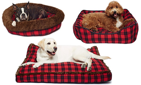 Dog hotsell beds groupon