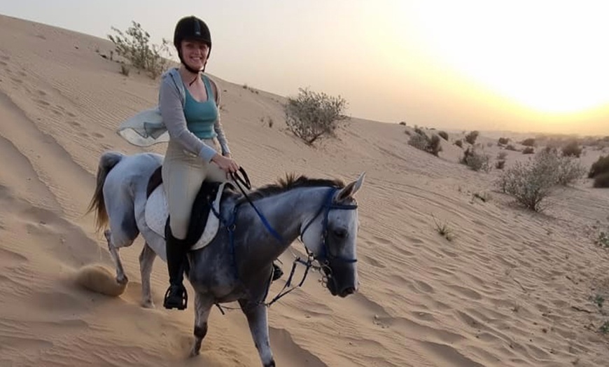 Image 2: One-Hour Desert Horse Riding Experience with M3 Stables