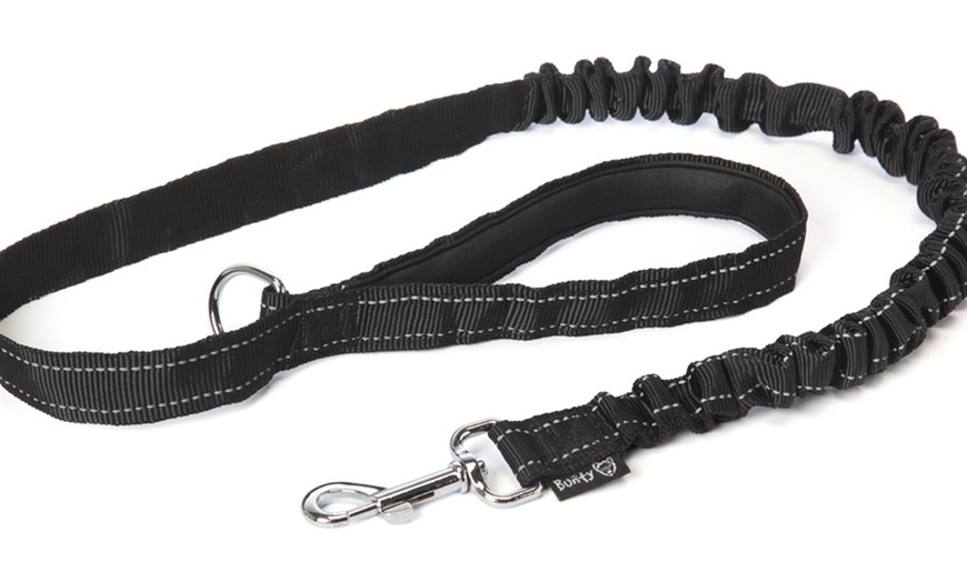 Image 4: Bunty Anti-Shock Dog Lead