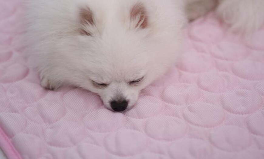 Image 15: Pet Cooling Mat