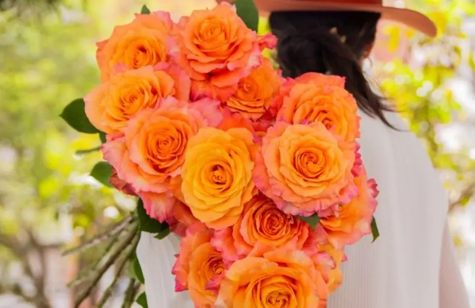 Elevate Valentine's Day with Rose Farmers: Luxury Fresh Flowers & Bouquets Deals Up To 71% Off