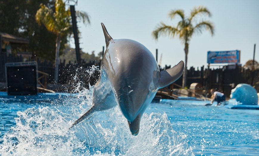 Image 4: Diversión en familia con una entrada a MundoMar y/o Aqualandia