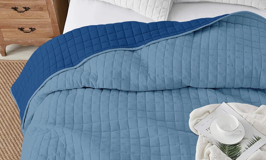 Image 8: Italian 4-Season Two-Tone Hypoallergenic Quilt