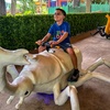 Image 12: FLASH SALE! Exhilarating Wildlife Adventure at San Antonio Zoo!