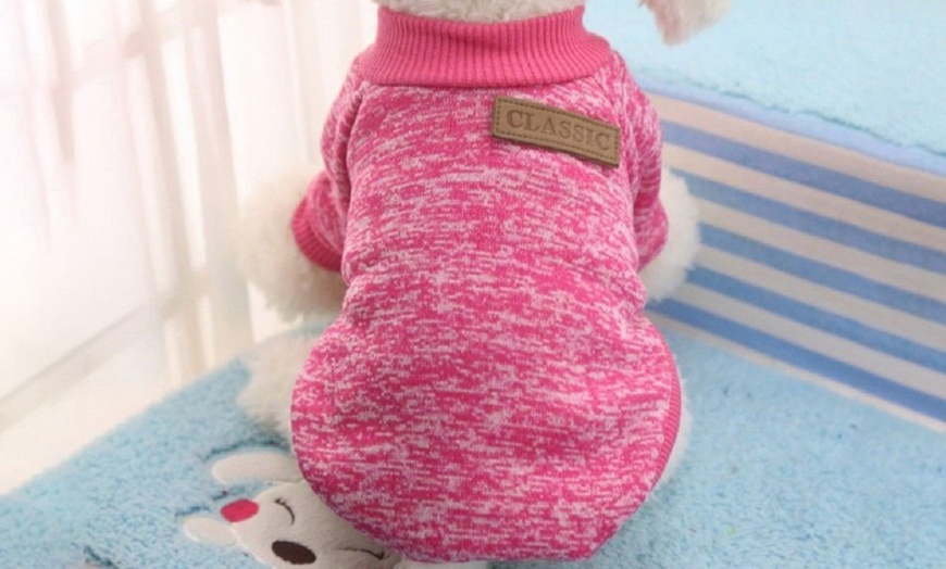 Image 6: Pet Jumper