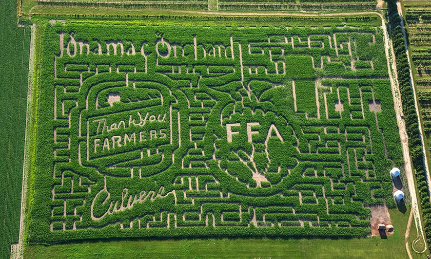 Corn Maze and Barnyard Admission at Jonamac Orchard (Up to 40% Off) - Primary Image