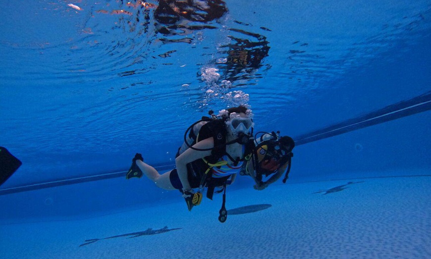 Image 6: Dive into Adventure with Diving Course