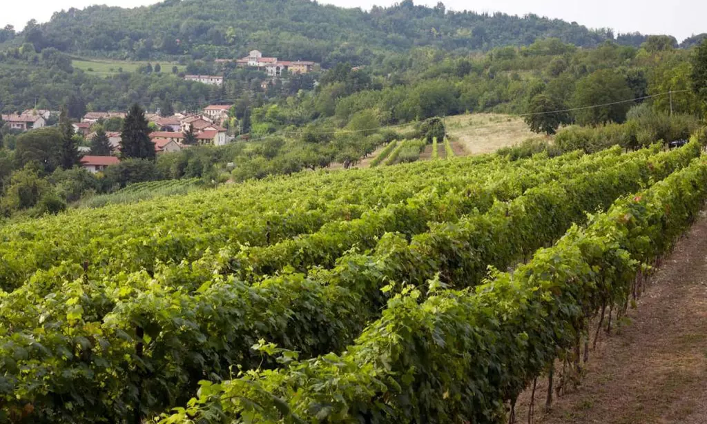 Monferrato: 1 o 2 notti in camera doppia con colazione e Spa per 2